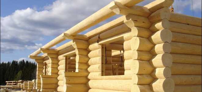 Самостоятельная постройка сруба