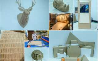 Производство картона и гофрокартона