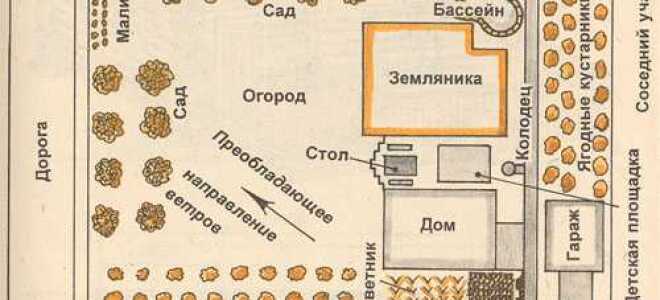 Какая современная баня лучше: из бруса или бревна