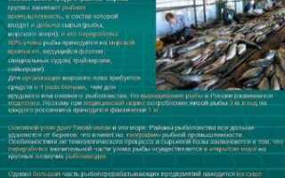 Состояние рыбной промышленности в России