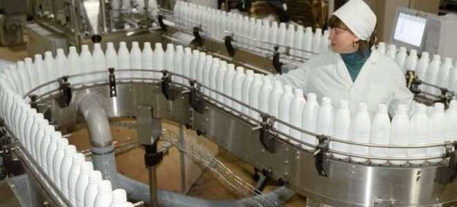 Пищевая промышленность: отрасли и предприятия