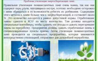 Как оформить договор на утилизацию люминесцентных ламп