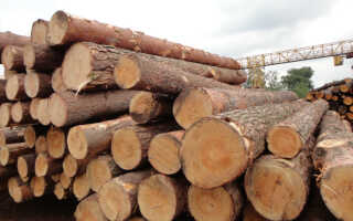 Сортамент современных пиломатериалов