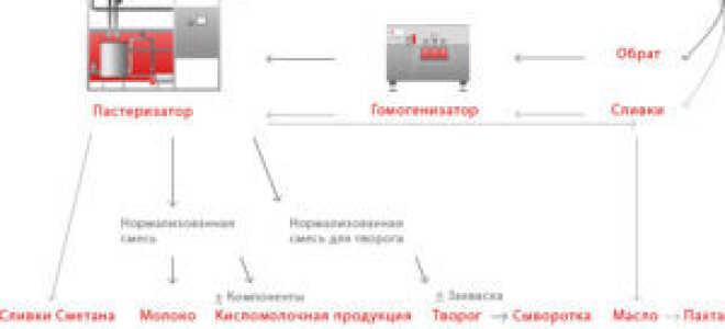 Производство молока и молочной продукции как бизнес