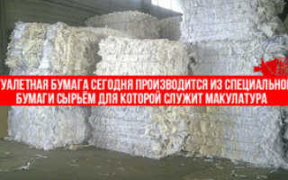 Как делают туалетную бумагу: сырье и оборудование