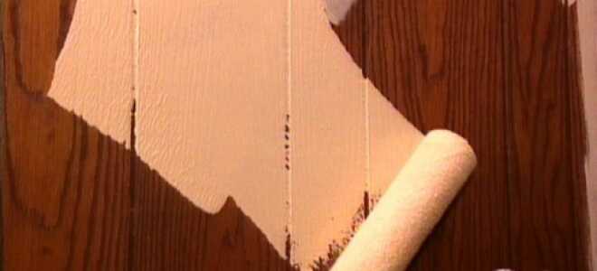 Чем лучше выполнять покраску вагонки