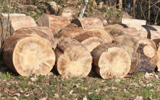 Особенности сортировки пиломатериалов