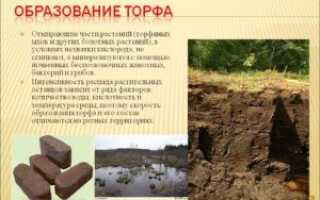 Способы добычи торфа