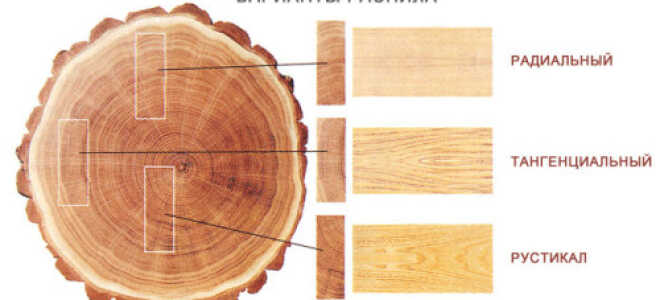 Как оптимизировать выход пиломатериала из круглого леса