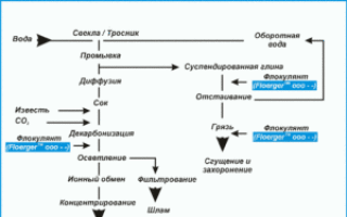 Сахарная промышленность — особенности отрасли