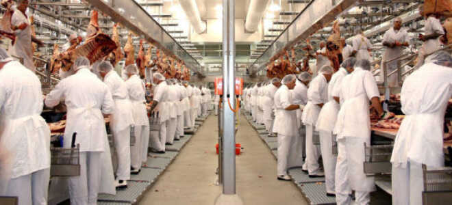 Санитарные правила для предприятий мясной промышленности