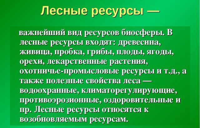 Лесные ресурсы