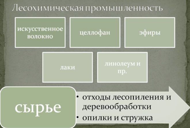 Лесохимическая промышленность