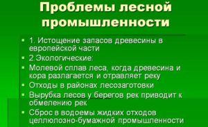 Проблемы лесной промышленности