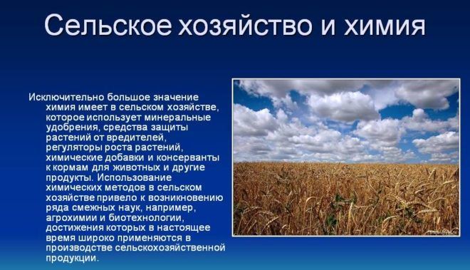 Сельское хозяйство