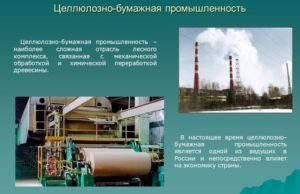 Целлюлозно-бумажная промышленность