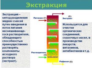 Экстракция