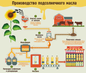 Этапы производства растительного масла