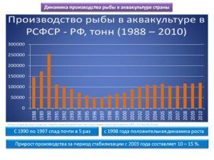 Перспективы рыбной промышленности