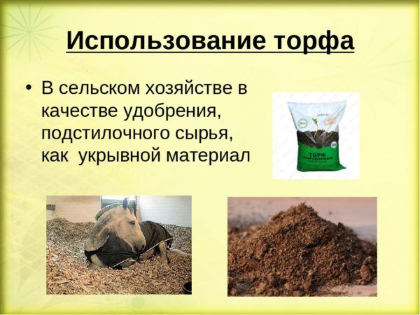 Применение торфа в сельском хозяйстве