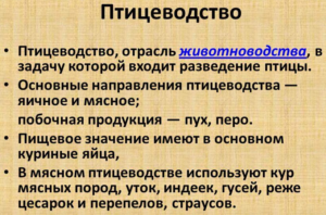 Птицеводство