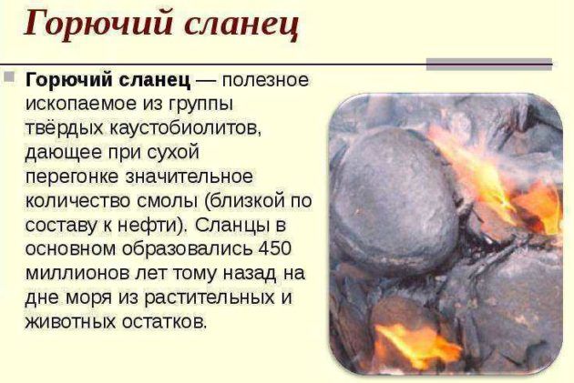 Разновидности горючих сланцев