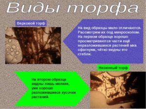 Верховой и низной