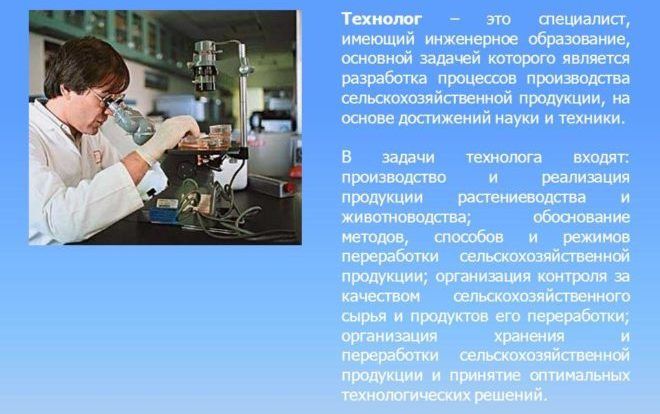 Технолог