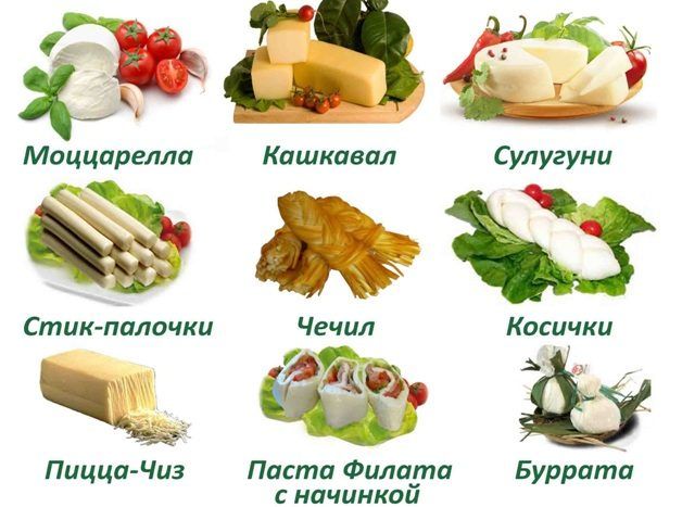 Виды сырной продукции
